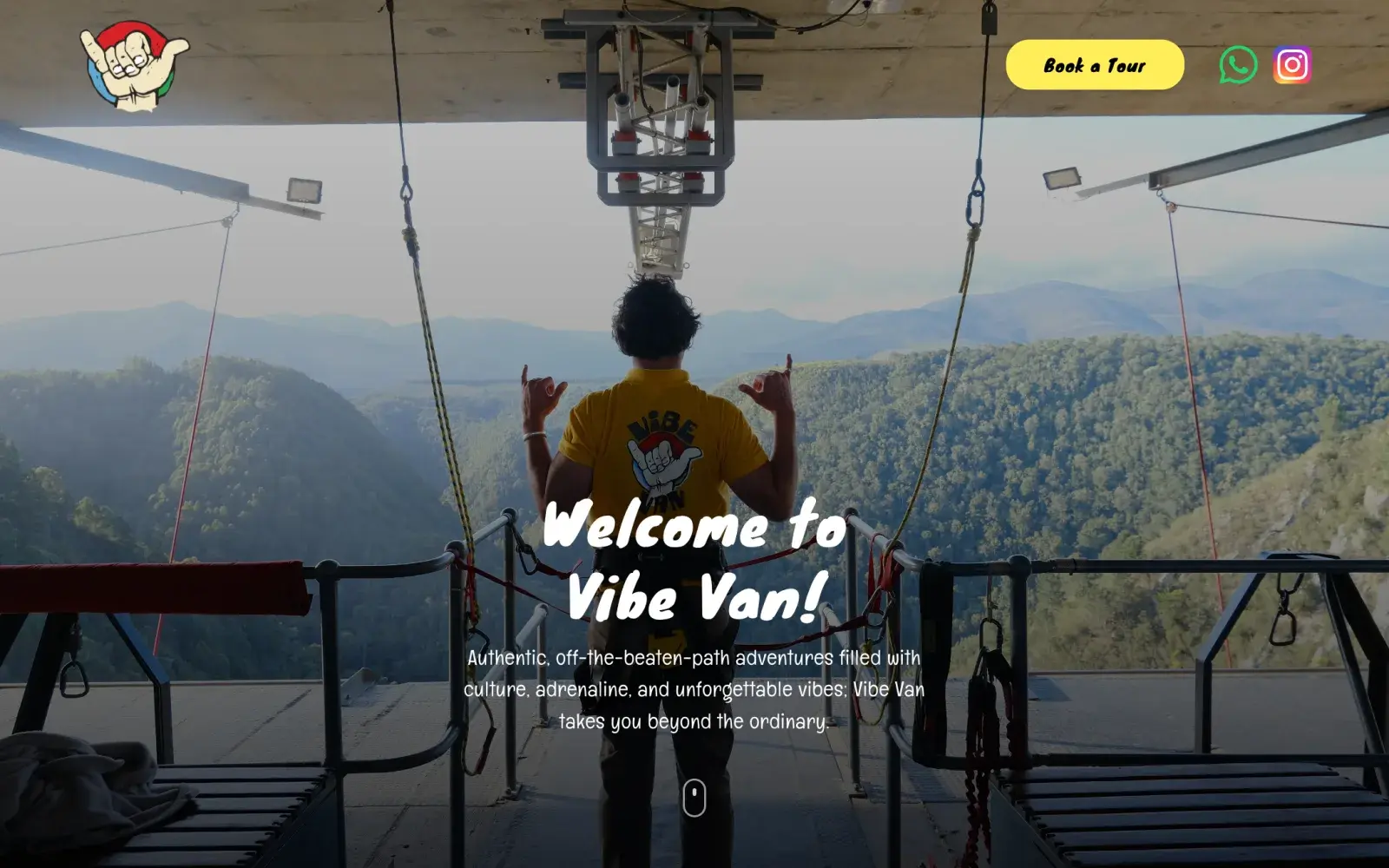 Vibe Van home page: a guide on a bridge platform above a forested gorge, with a Book a Tour button.
